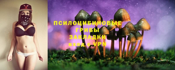мескалин Инта