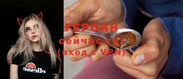 ALPHA PVP Инсар