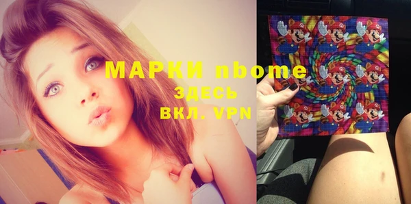 ALPHA PVP Инсар