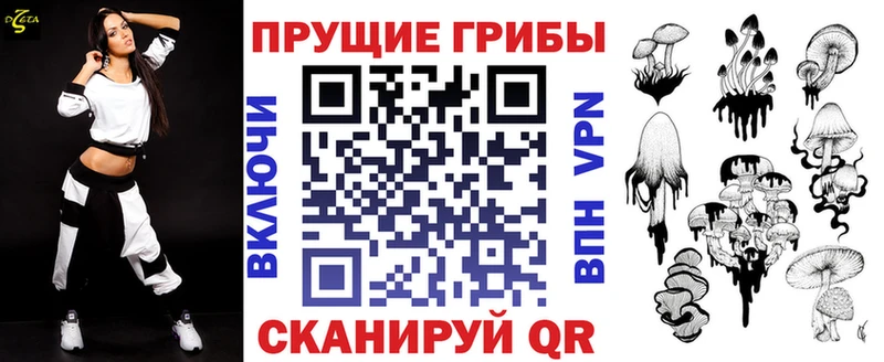 Псилоцибиновые грибы Psilocybine cubensis  Купить закладки  Волхов 