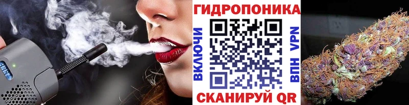 Бошки марихуана сатива  Купить закладки  Волхов 